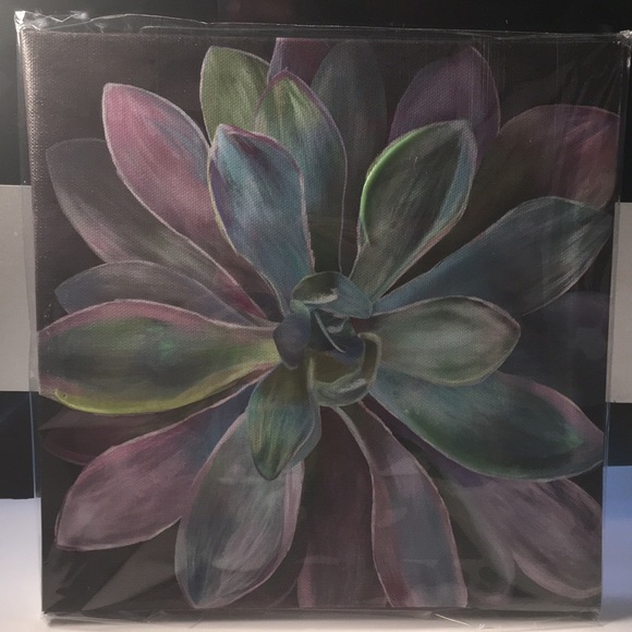 Other - Colorful Dark  Flower Canvas